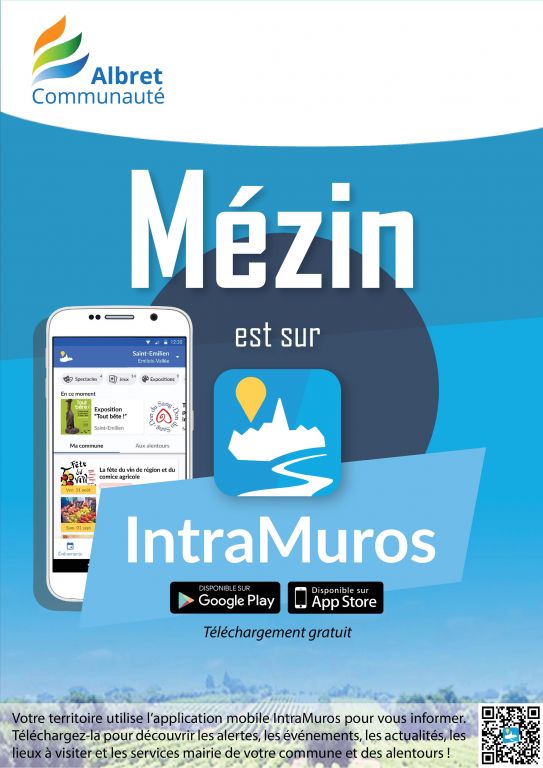 affiche mzin 2020317173319272242