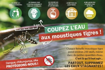 carte postale stop moustiques niv1 2018 678 454