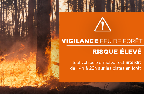 119228950 639505826704089 3110012483816745771 n