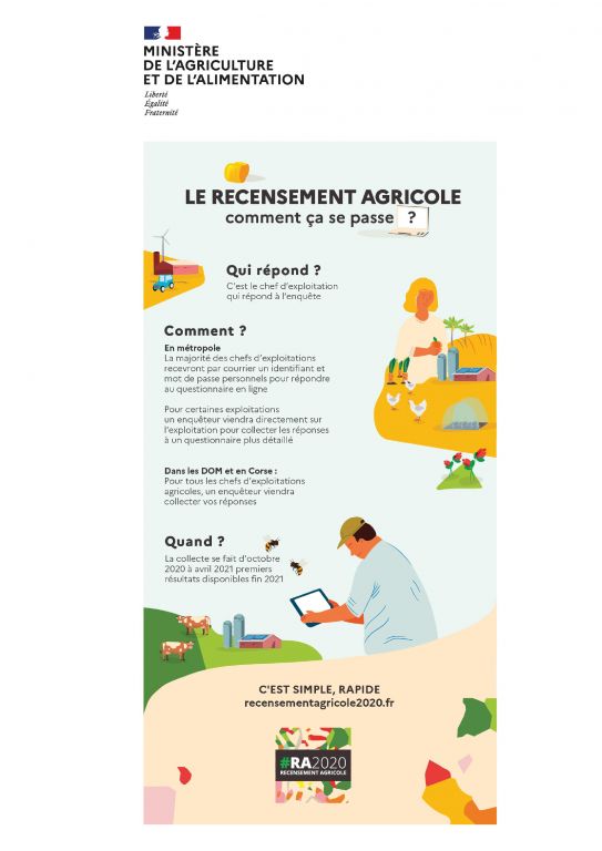 recensement infographies 03