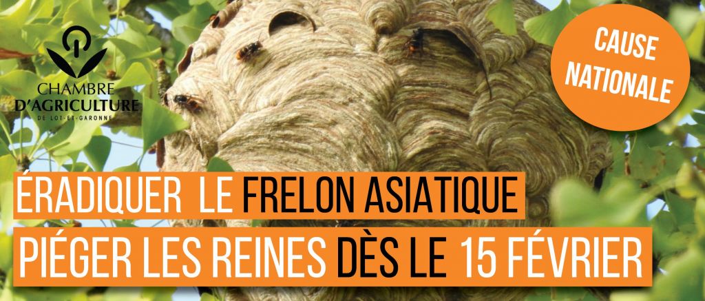 149640610 4051401264923197 2937149187610952087 o