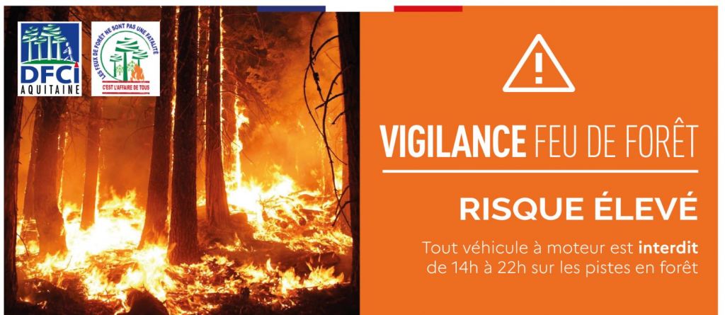 176328460 776477349673602 5380943523945427691 n