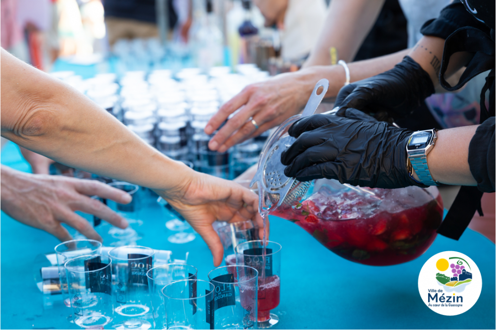 mg mairie de mezin floc de gascogne