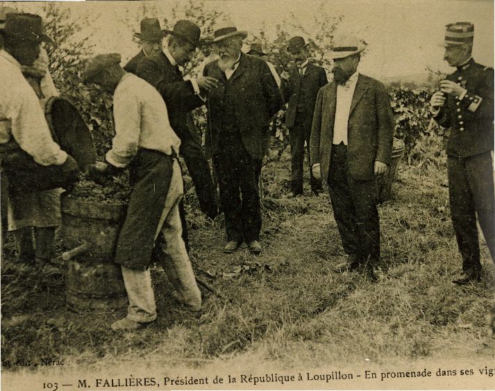 armand fallieres vignes loupillon